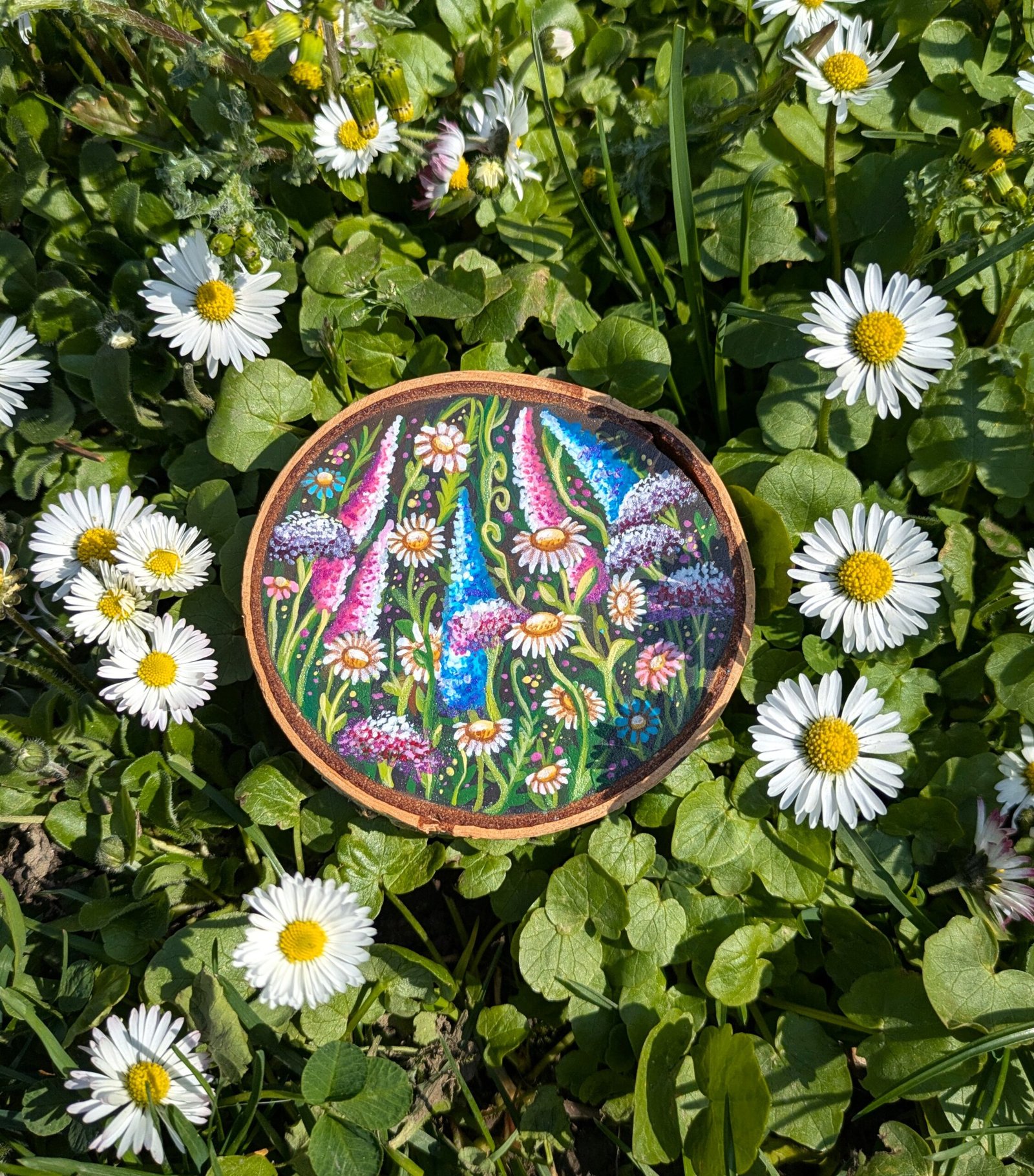 Always blooming flower field
