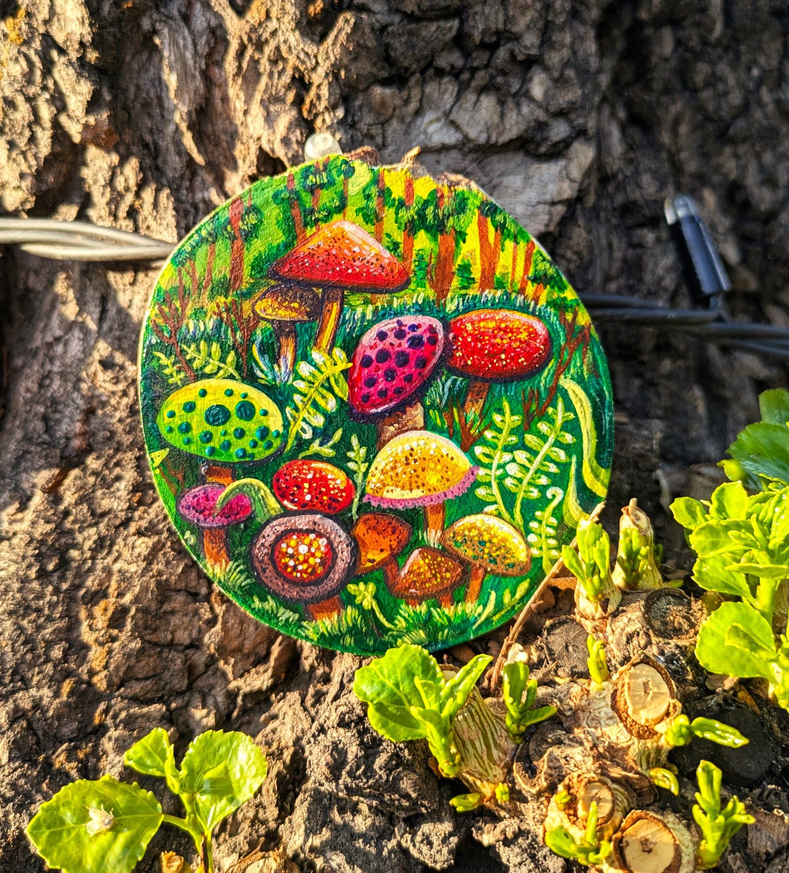Mushroom field