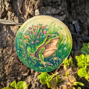 Toad in a flower field