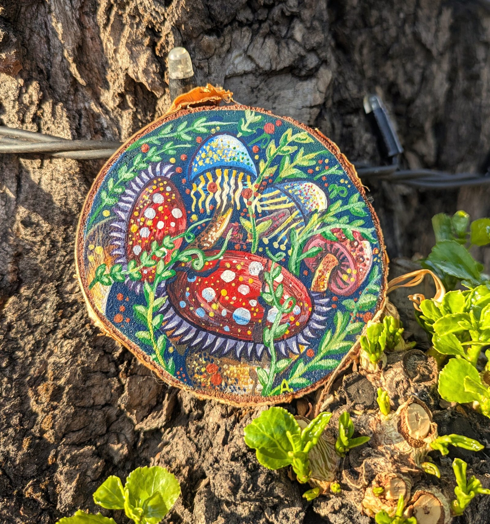 Mushroom and fern composition