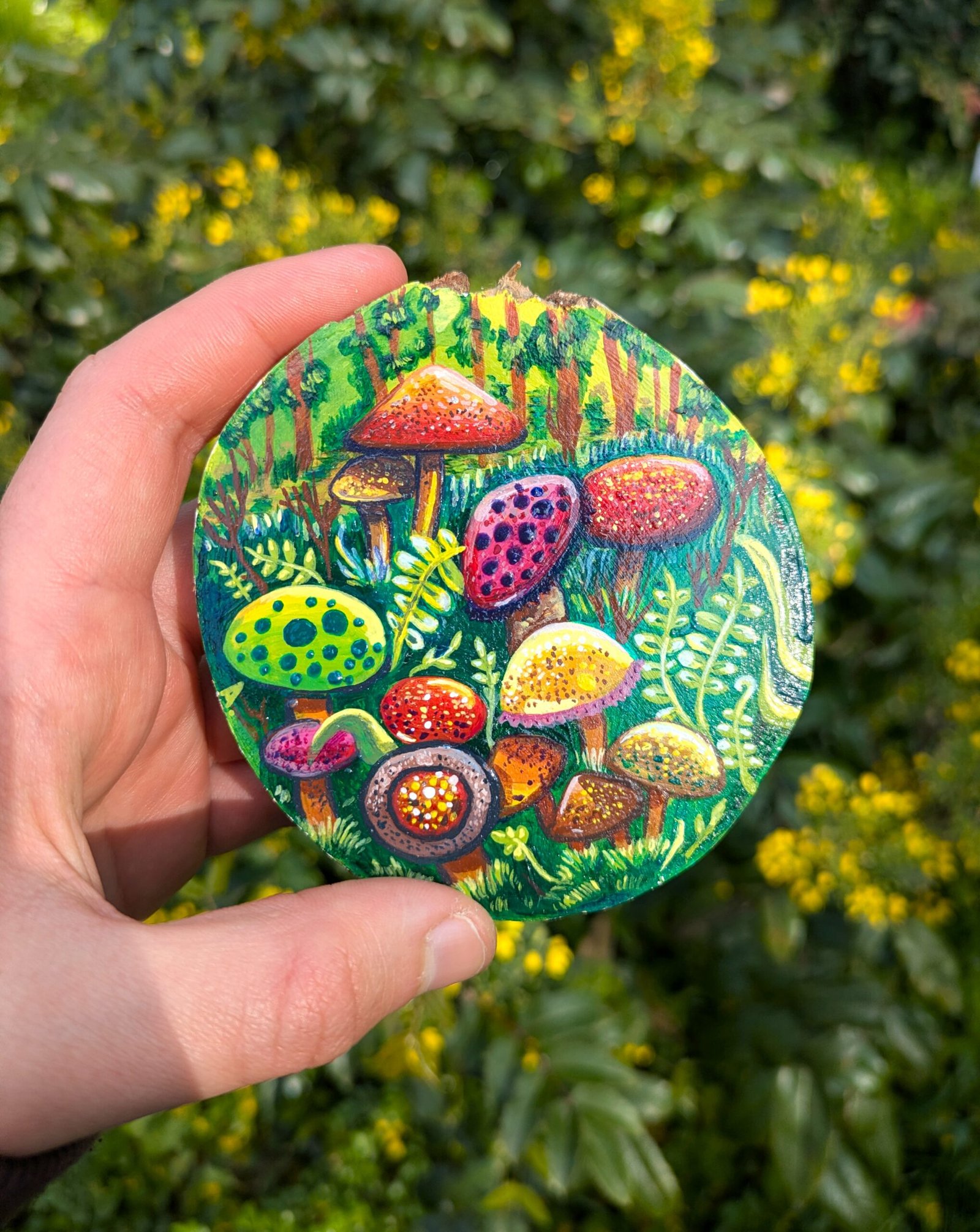 Mushroom field - Image 7