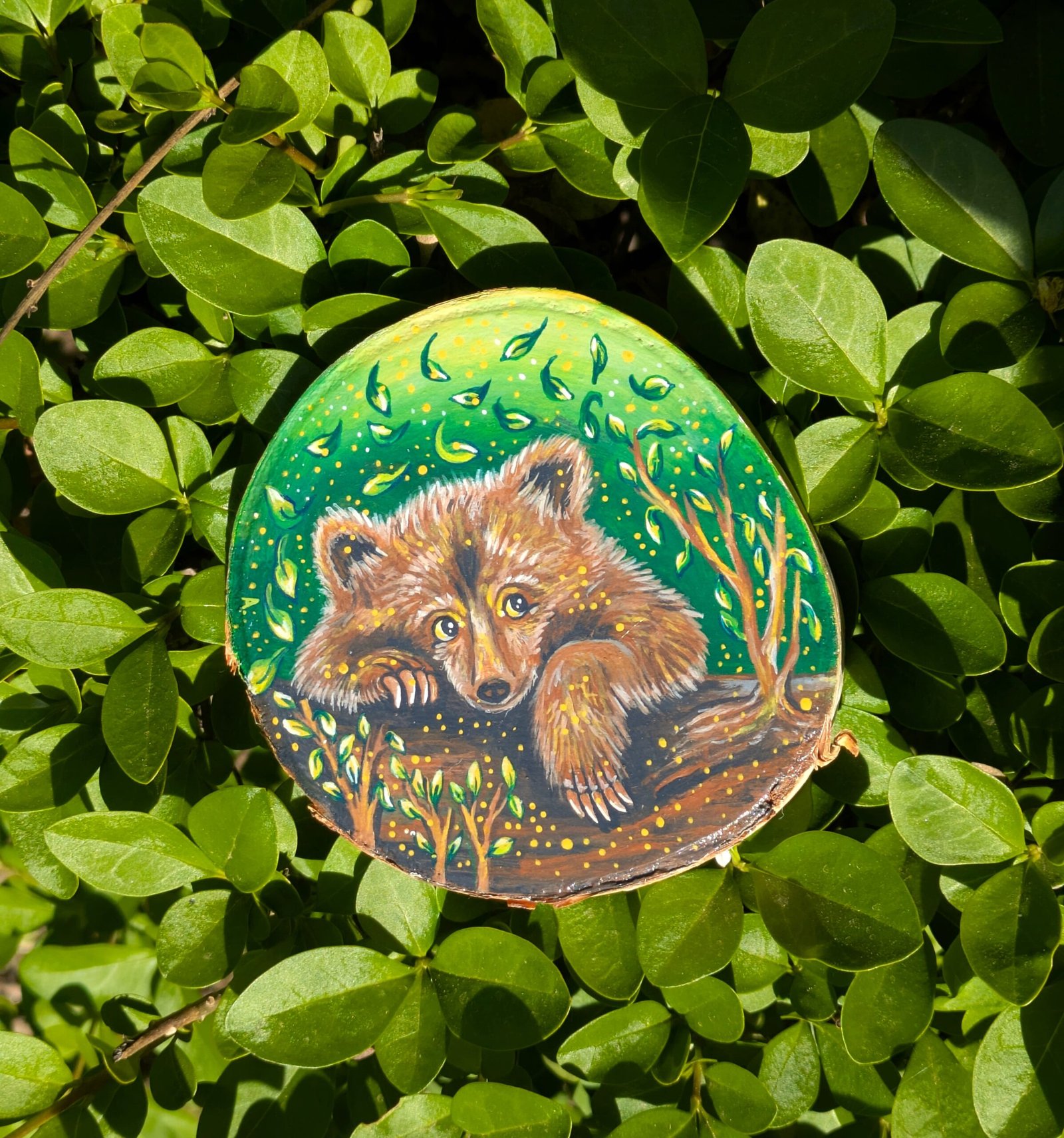 Bear cubs in the forest - Image 9