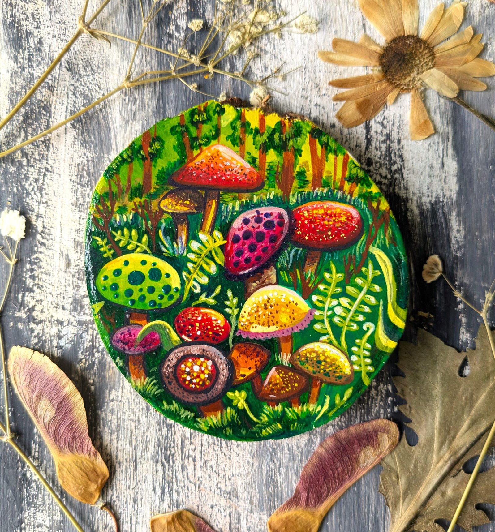 Mushroom field - Image 8