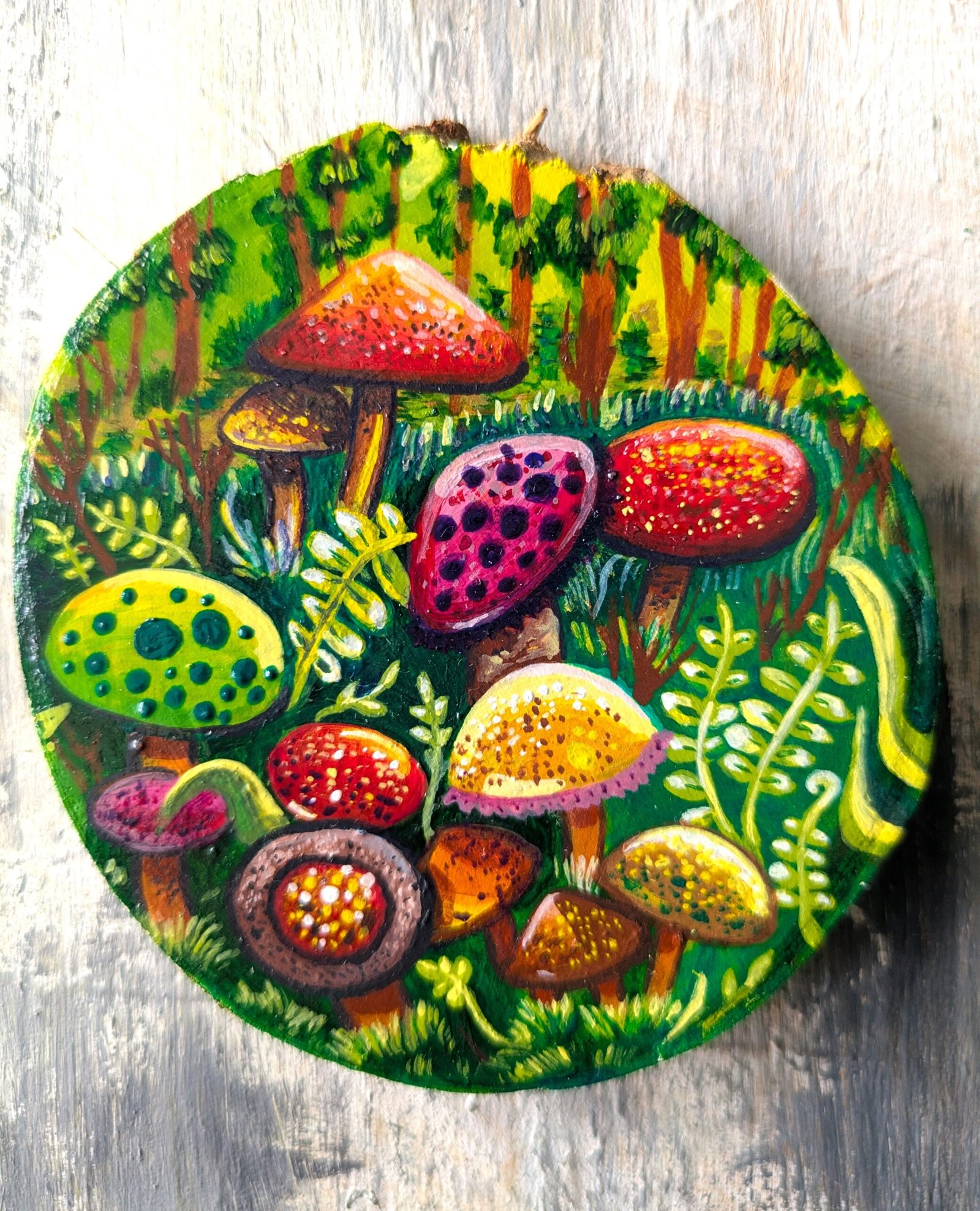 Mushroom field - Image 10