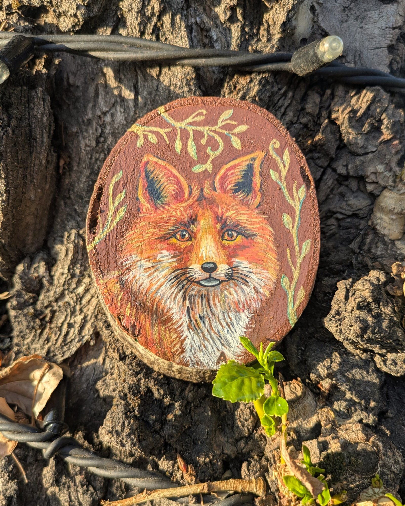 The portrait of a fox - Image 6