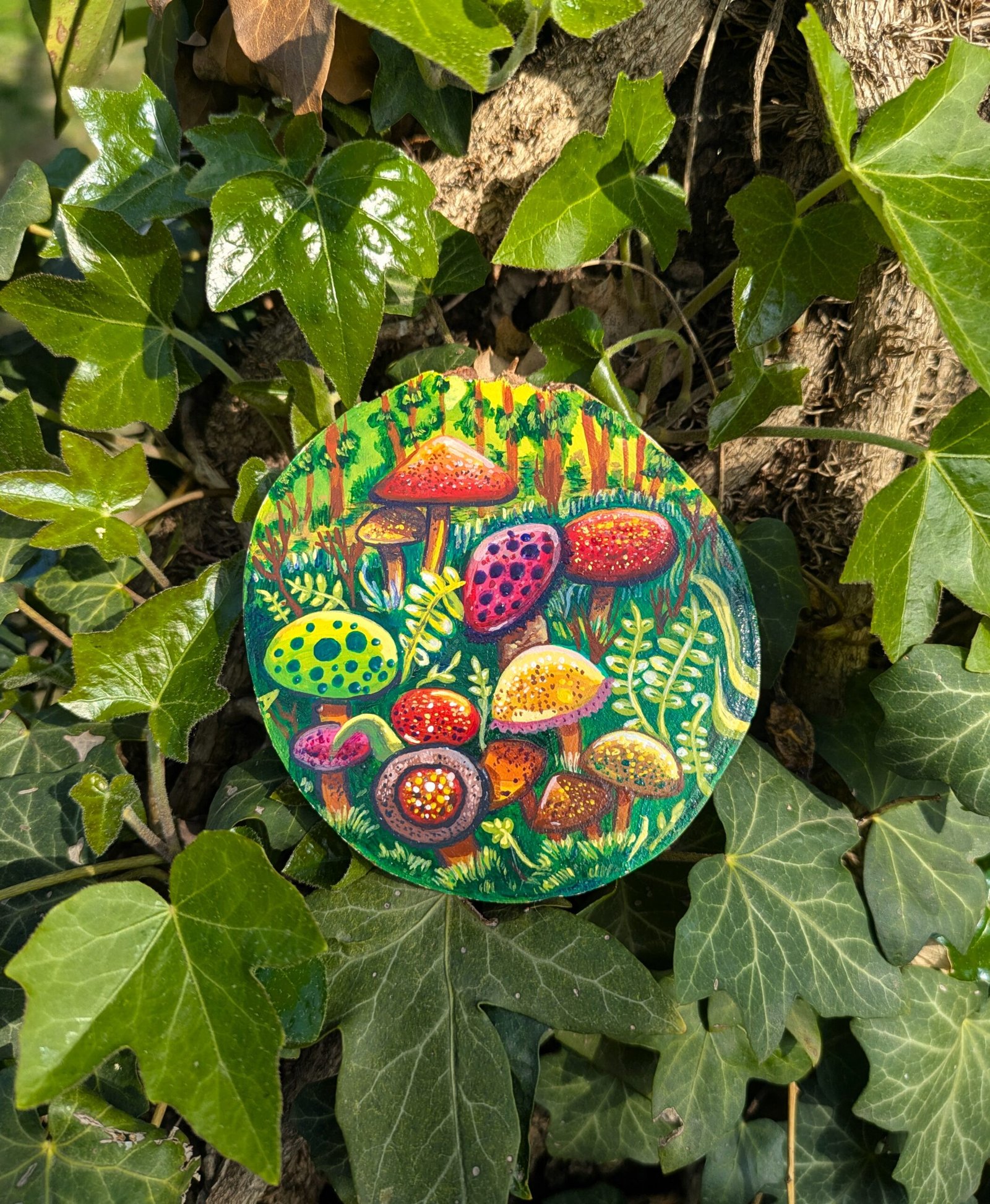 Mushroom field - Image 12
