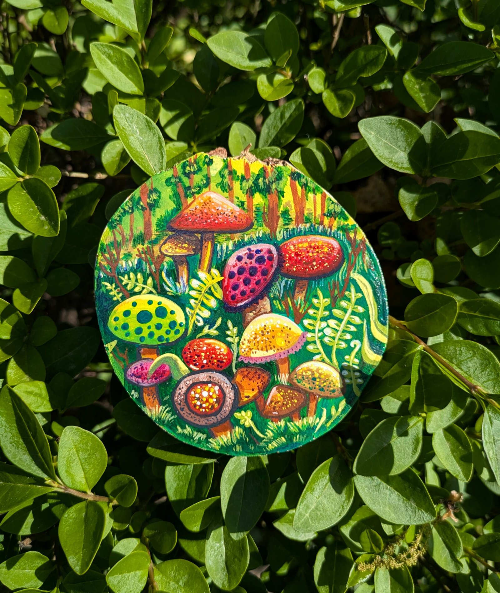 Mushroom field - Image 14